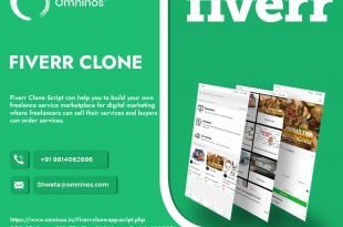 Fiverr Clone App Script Development Company