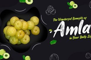 Benefits of Amla in Your Daily Life